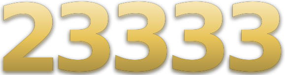 23333 logo